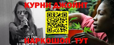 сатива Новокубанск