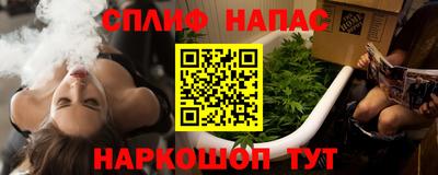 гидра Новодвинск