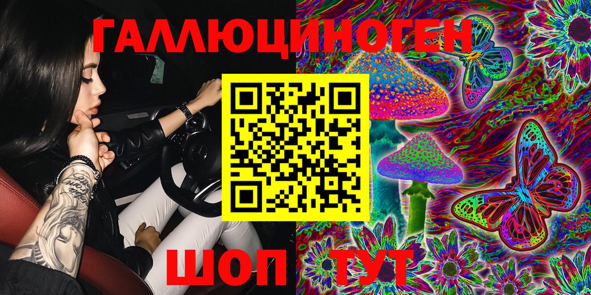 Галлюциногенные грибы Psilocybine cubensis  Вход с VPN  Топки 