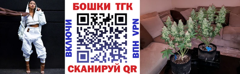 Бошки марихуана Bruce Banner Топки